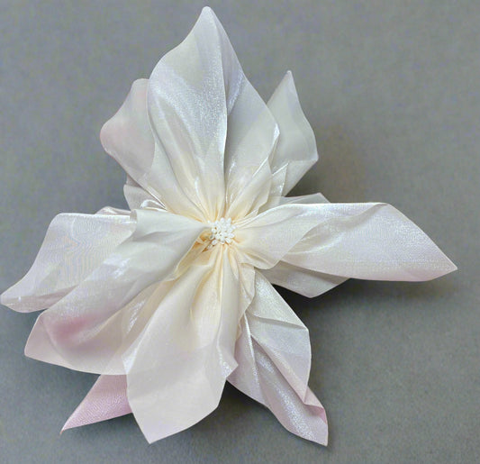 Extravagant Brooches