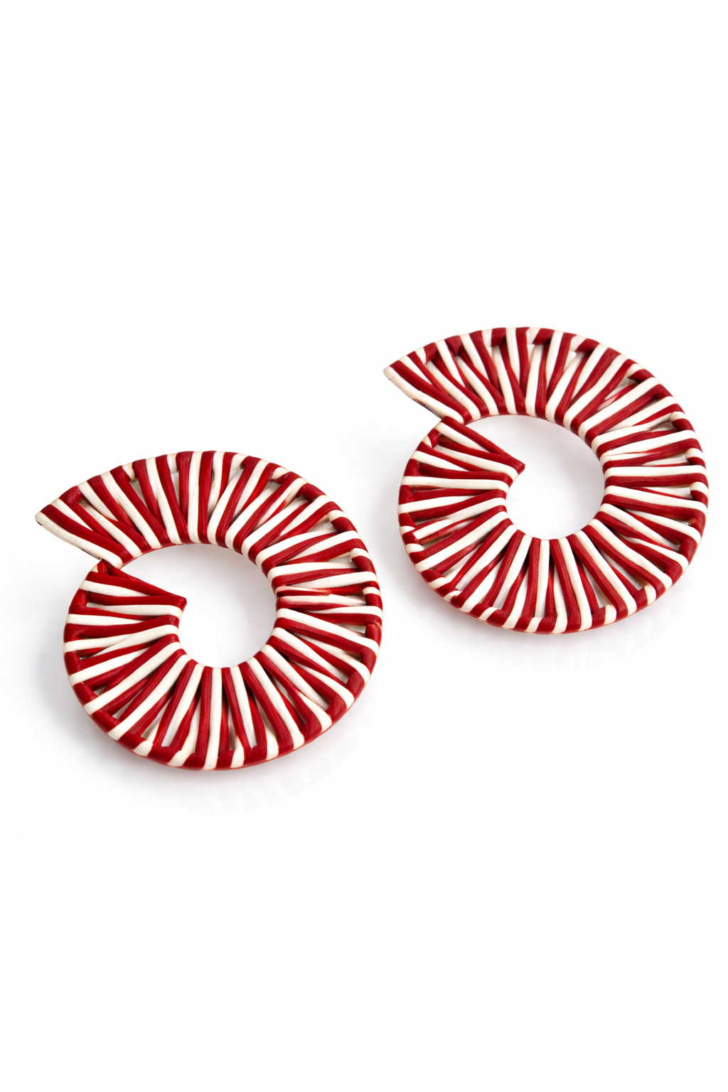 Zebra Print Earrings
