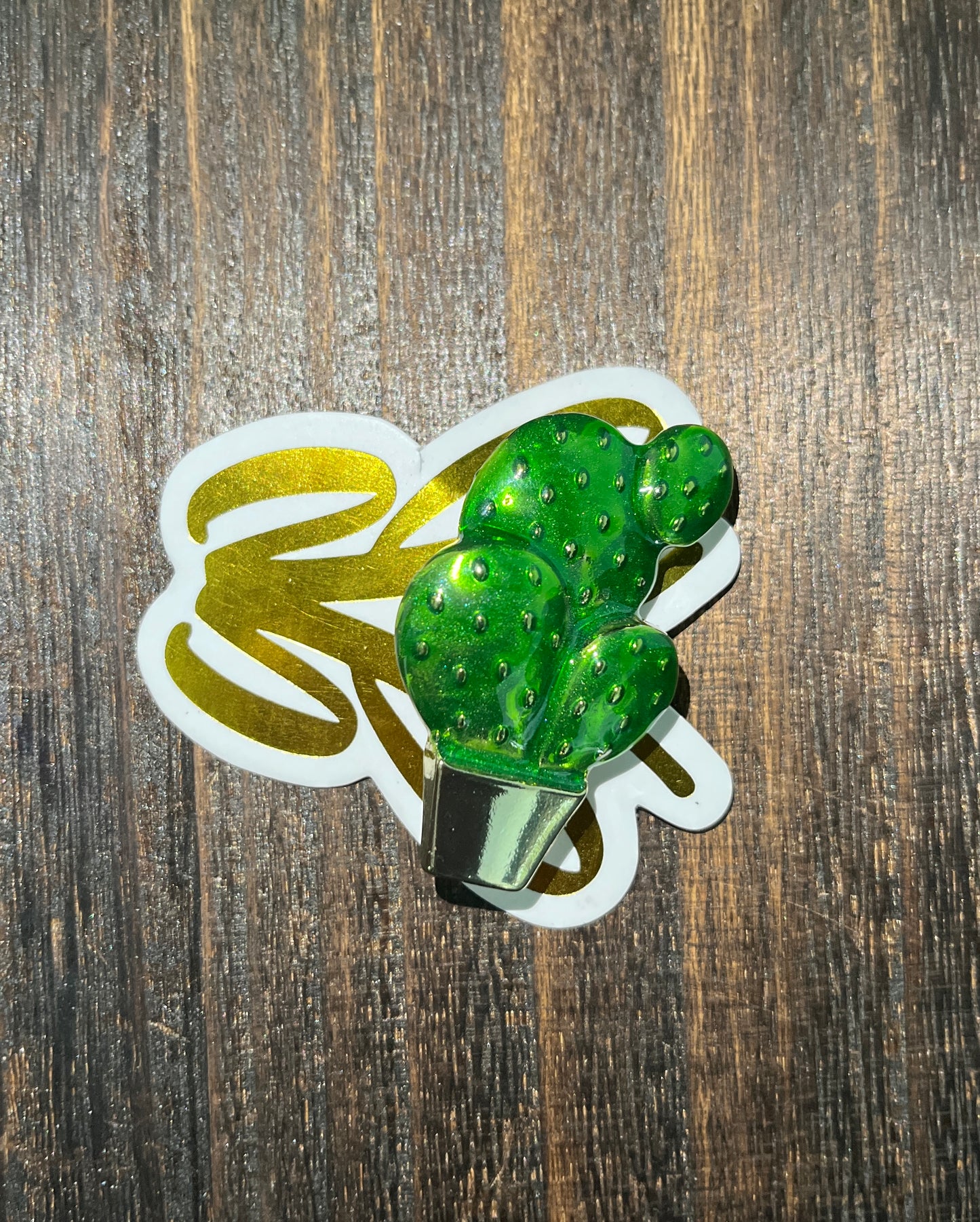 Cactus Brooch
