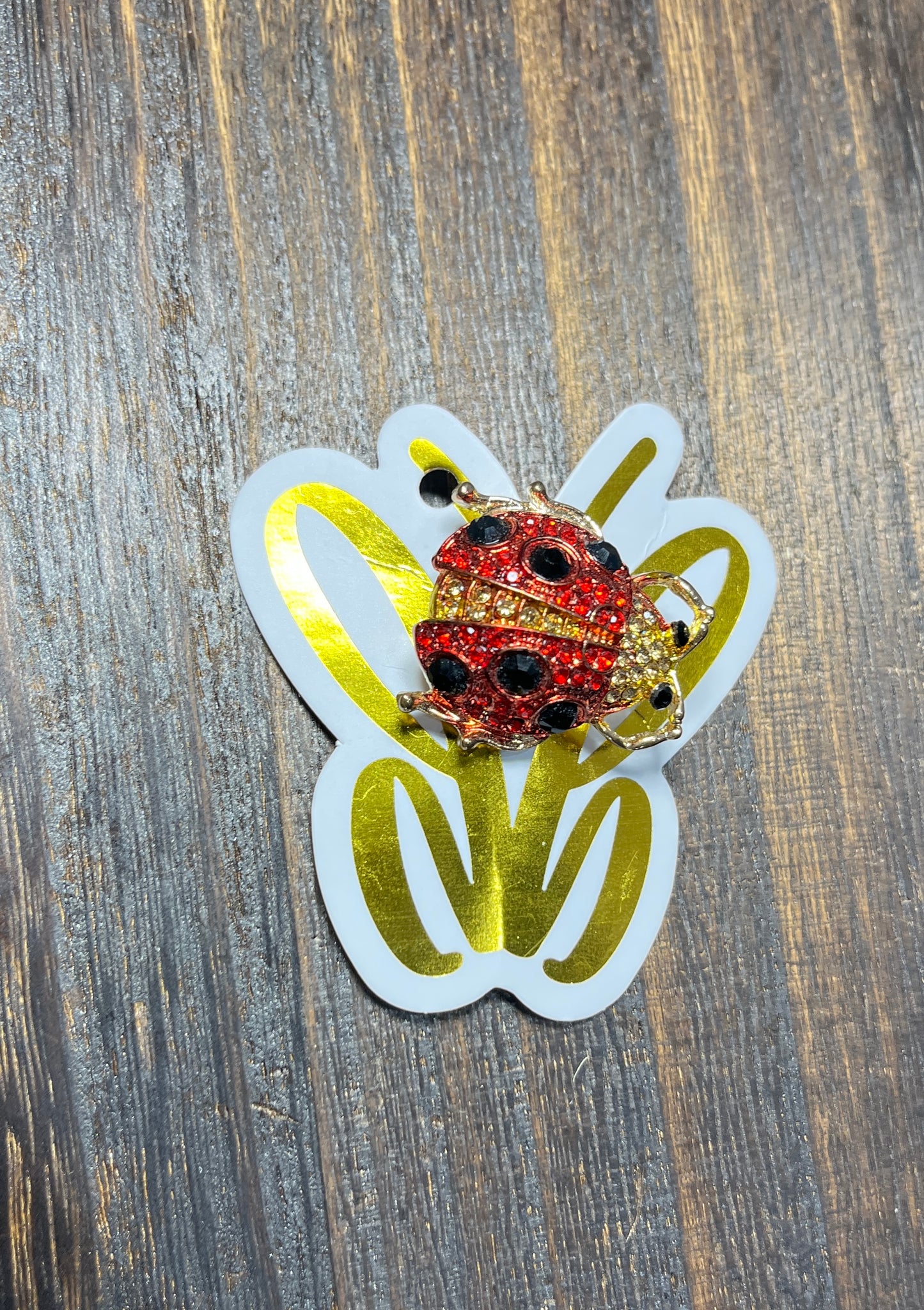 Lady Bug Brooch
