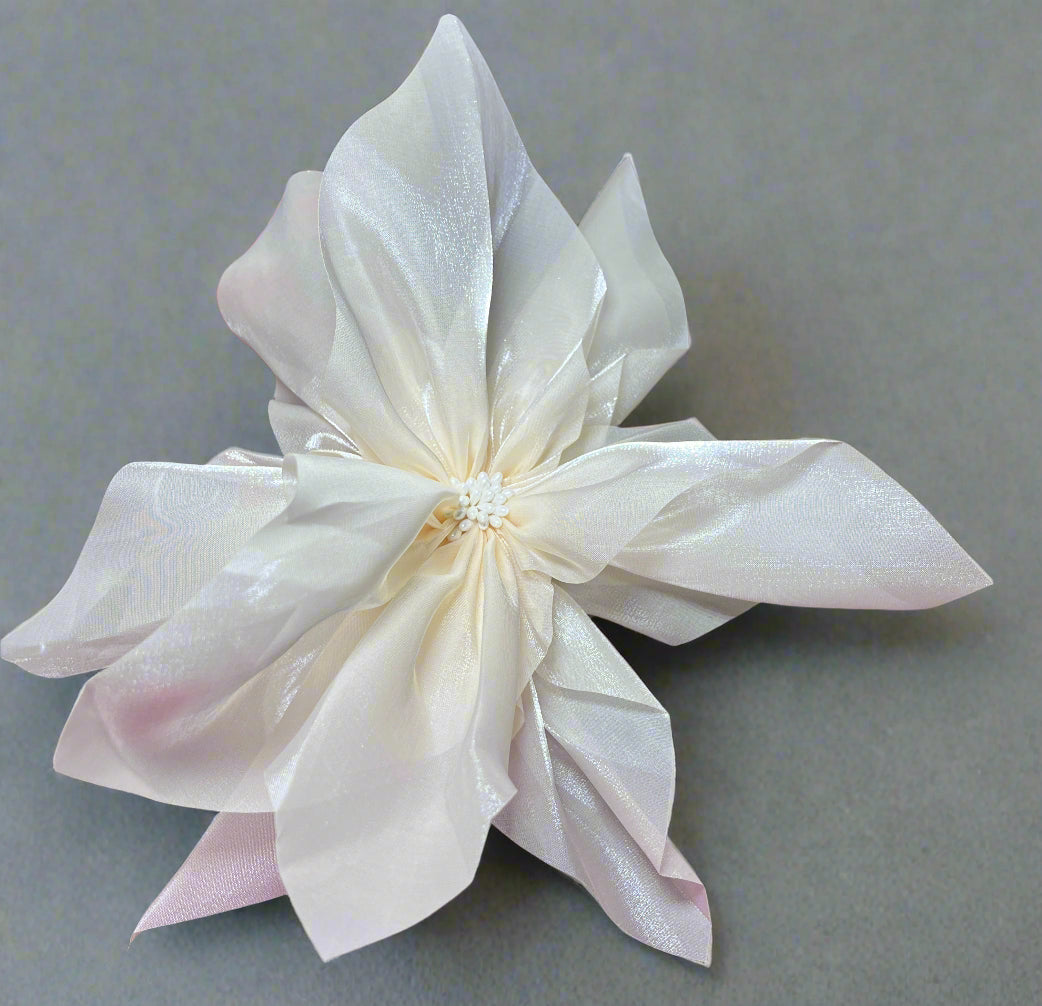 Extravagant Brooches